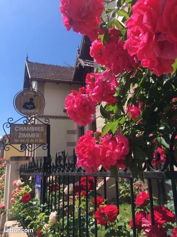 Gites Au Pied Du Haut-Koenigsbourg Kintzheim Eksteriør billede